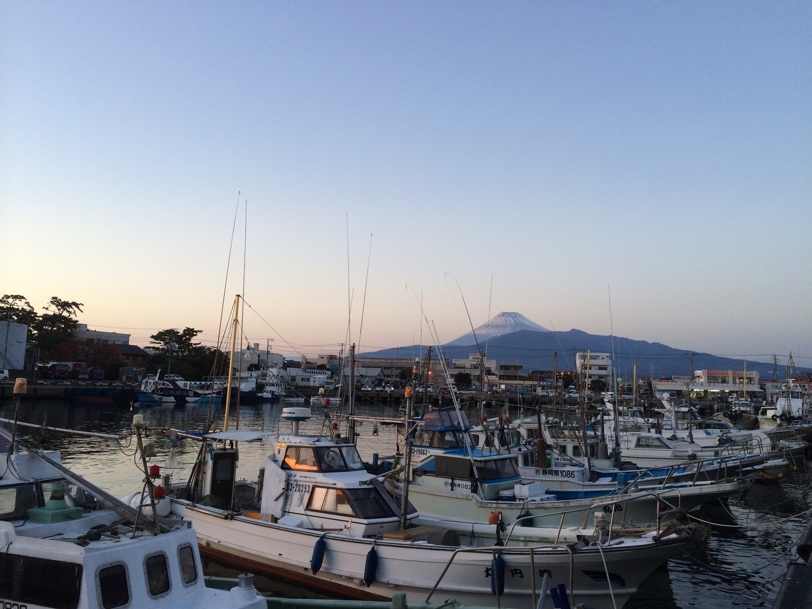 沼津港からの富士山